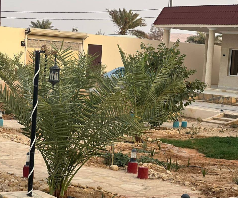الجوهره - صورة 1